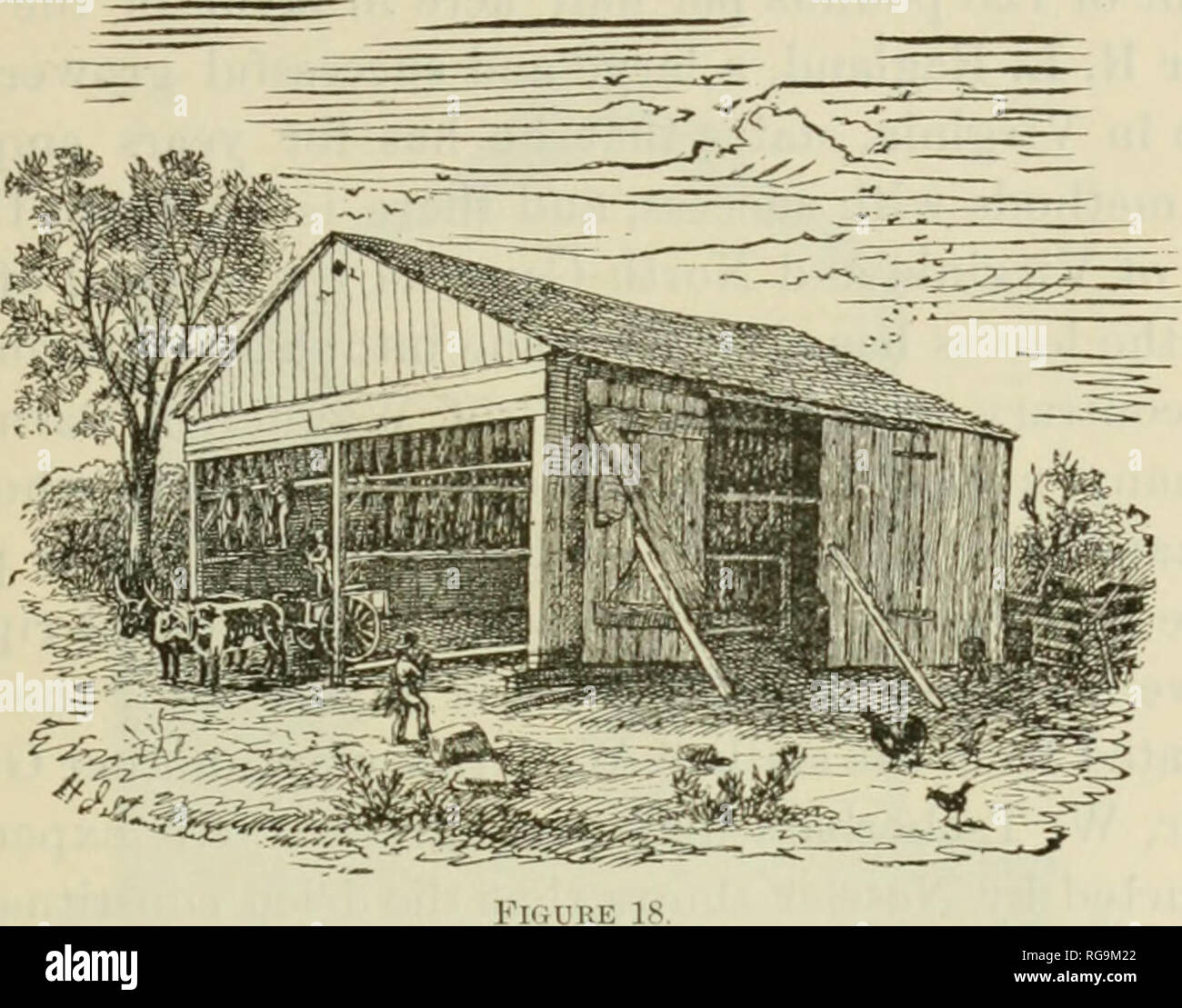 Tobacco curing process hi-res stock photography and images