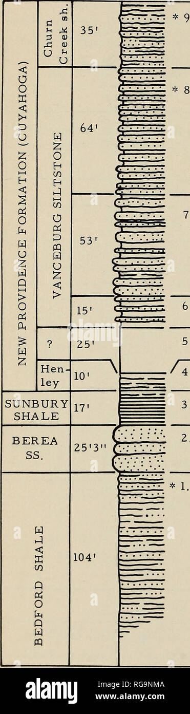 . Bulletins of American paleontology. Paleontology. 182 Bulletin 196 LOCALITY K-66. Shale, very silty, light gray; worm markings. Siltstone in smooth even beds up to 3" thick, gray to drab, separated by shale partings up to 1" thick; Taonurus. Siltstone and shale, clayey, drab: Taonurus. Siltstone, drab, evenly bedded, with shale partings. Covered. Shale, clayey, olive to maroon. Shale, black, fissile; soft, weathered to gray brown in upper part. Sandstone, gray to brown; ripple marks. Shale, sandy in upper 6 feet, in irregular beds, light gray to buff; light to medium gray, soft, st Stock Photo