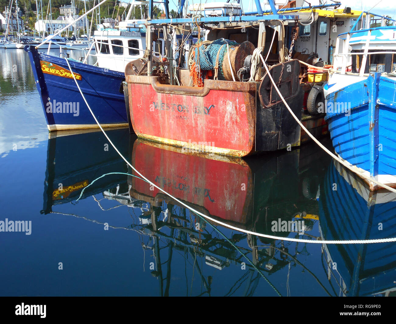 Some of the fishing boats that fish in the waters in the west of ...