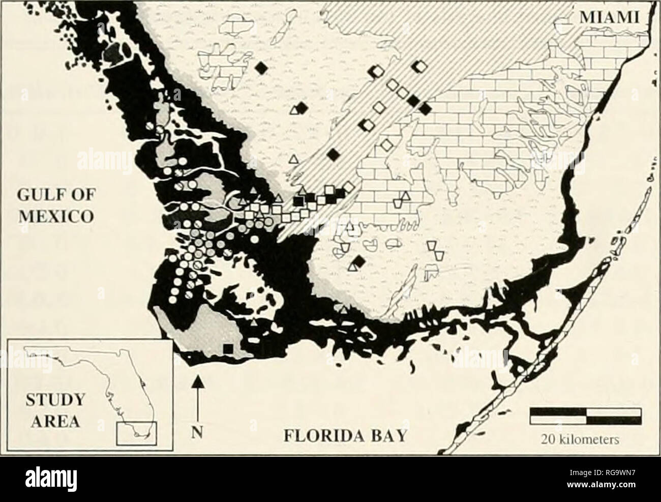 . Bulletins of American paleontology. Pollen Zonation: O'Neal et al. 119. Cluster Group Membership Â® Cluster 1 O Cluster 2 O Clusters Mangrove Swamp â¦ Cluster 4 O Cluster 5 Freshwater Marsh â Cluster h a Cluster? Headwater Marsh A Clusters A Cluster 9 Brackish and Transitional Marsh D Cluster 10 Ipland Physiographic Provinces ^^1 Mangrove Swamp 1 I Brackish &amp; Transitional Marsh fy â /'â w Freshwater Marsh (Slough) I J Freshwater Marsh with Hammocks P I I I Limestone Upland Complex Text-figure 7.âOverlay of sample site cluster groupings on phys- iographic map of southwest Florida showing  Stock Photo