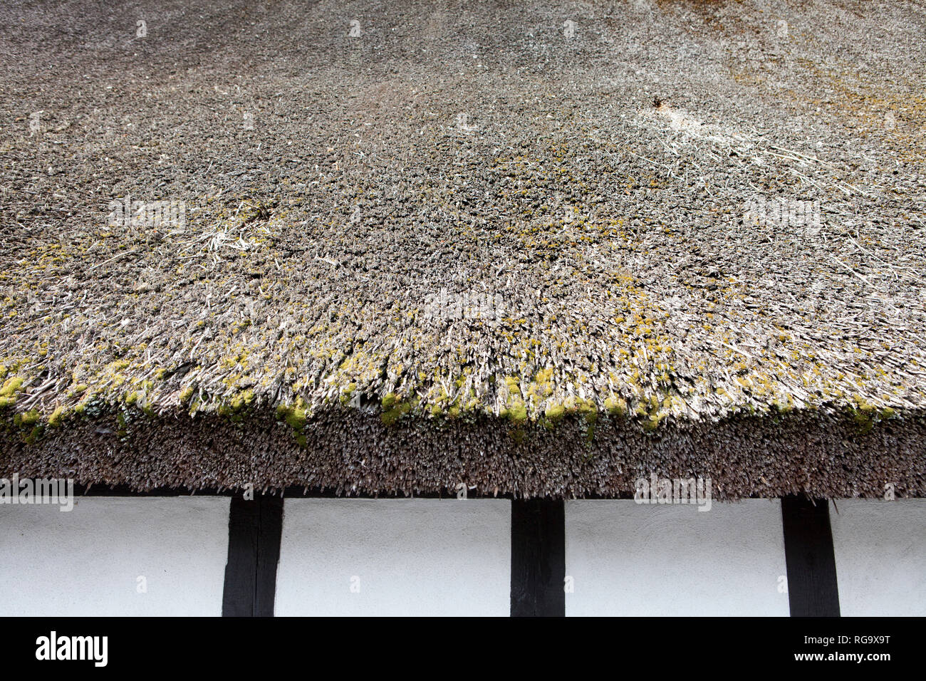 Detail of a thatched roof , Germany; Europe Stock Photo