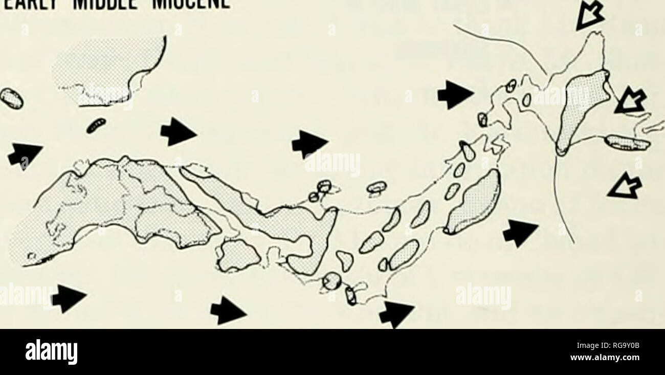 Middle and late pleistocene hi-res stock photography and images - Alamy