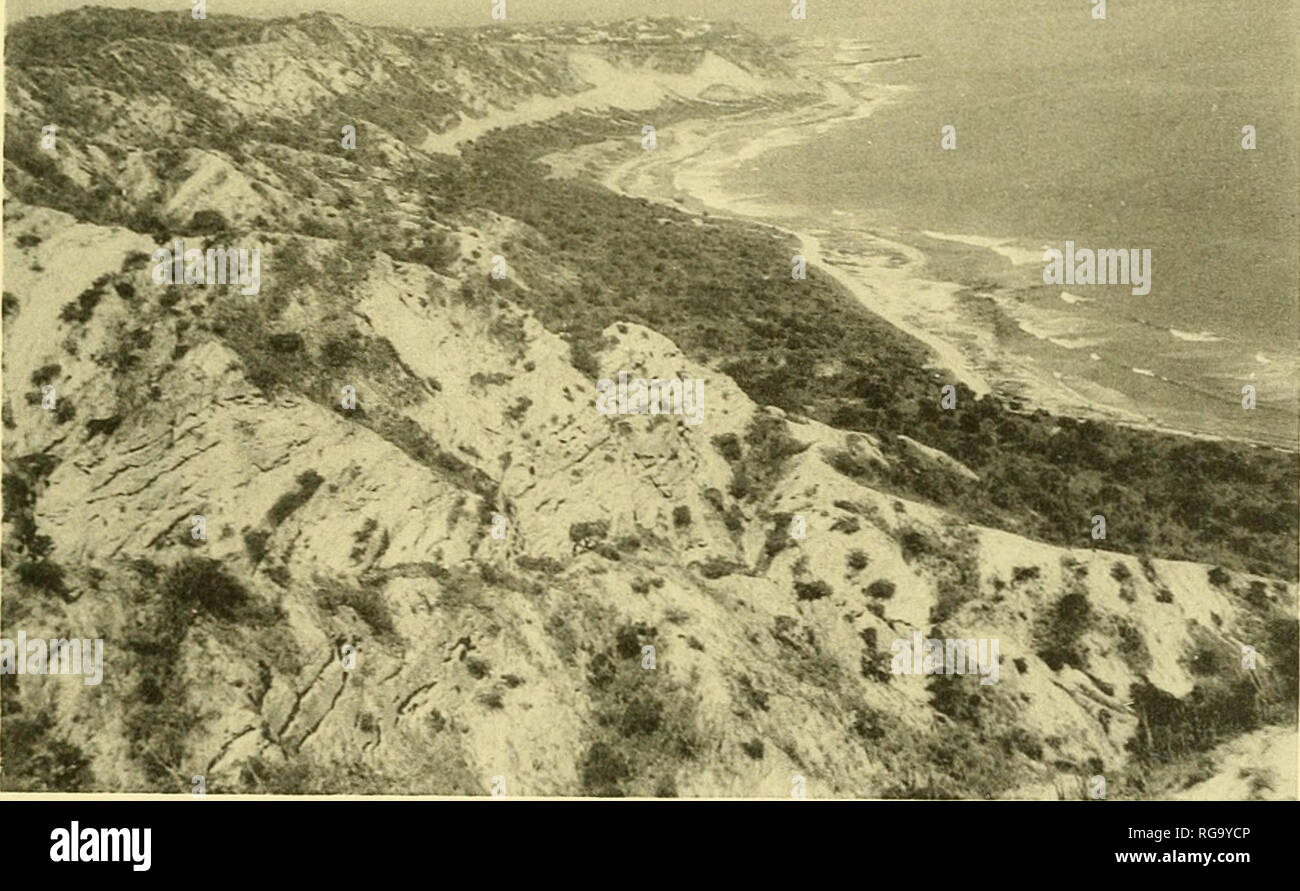 . Bulletins of American paleontology. Fig. 1, Looking west to Cabo Blanco from Punta Gorda. The gray sediments dipping to the south are in the Las Pailas formation, and are unfossiliferous. The Cabo Blanco lighthouse is on the highest hill in the background.. Fig. 2. Looking west from Cabo Blanco lighthouse. The Recent shells were collected just beyond the breakwatei-, upper right. The village of Playa Grande is situated on the terrace (Abisina fonnation) to the left of the breakwater. Subrecent to Recent beachrock is exposed here and there along the shore.. Please note that these images are e Stock Photo