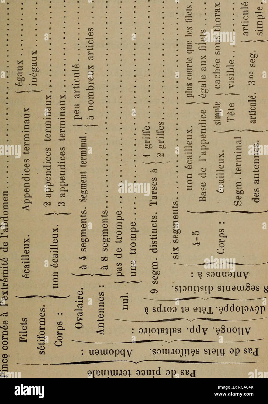 Sbj High Resolution Stock Photography And Images Alamy