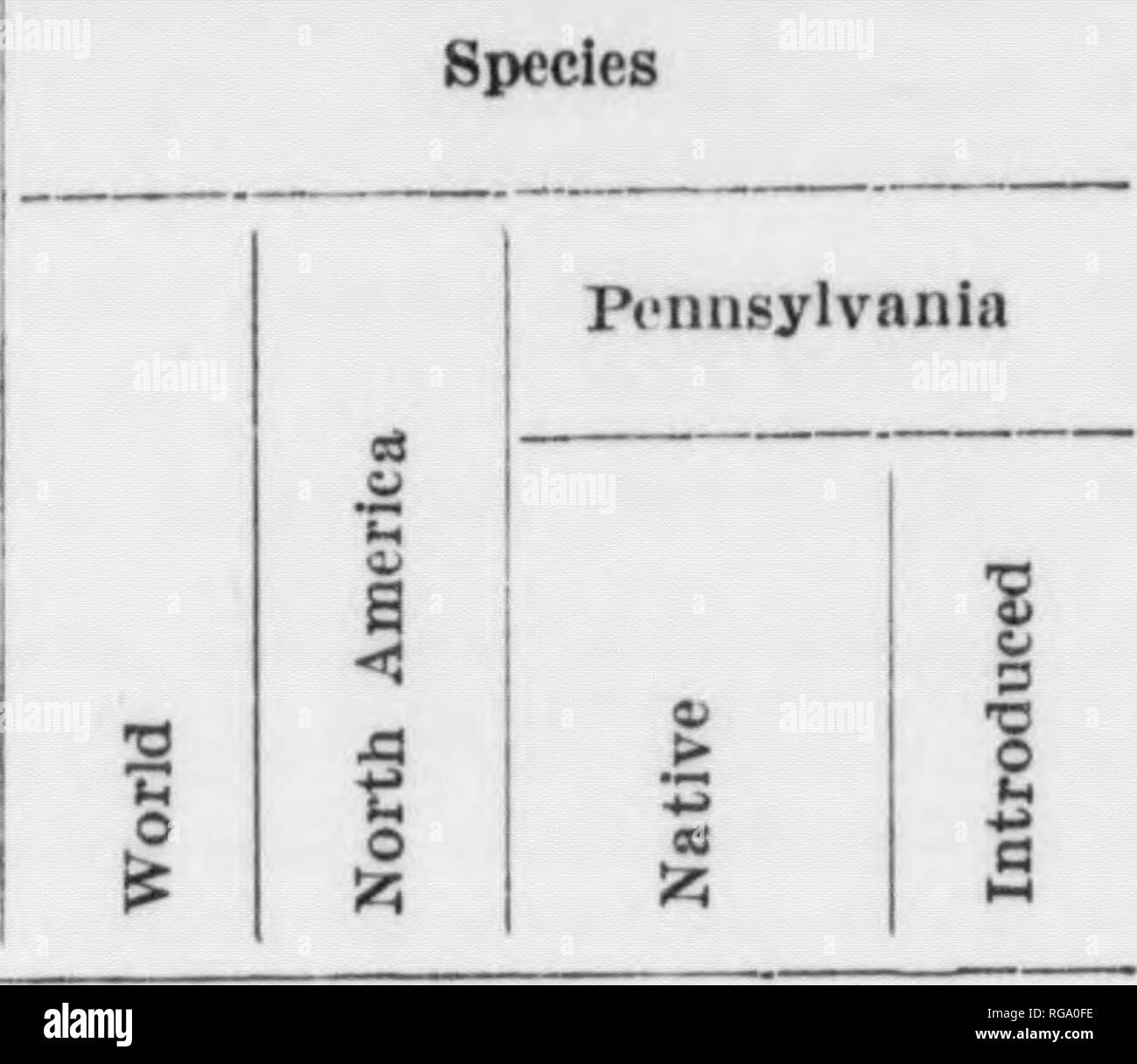 . Bulletin (Pennsylvania Department of Forestry), no. 11. Forests and forestry. 72 TABULATION OF TREE GENERA AND TREE SPECIESâContinued Families, Genera, etc. Species. Pam. VII. Magnoliaceae. Gen. 91). MHgnolitt. - 26 Gen. 26. Liriodendron - - *â Pam. VIII. Auonaceae. Gen. 27. Asimina, * Fam. IX. Lauraceae. Gen. 28. Sassafras, - * Fam. X. Hamameiidacejn'. Gen, 29. Hamamelis, â * Gen. 30. Liquidanibar, - * Fam. XI. Platanaceae. Gen. 31. Platanus, Â« Fam. XII. Rosaceae. Gen. 32. Pyrus, ^ Gen. 33. Amelanchier, 30 Gen. 34. Crataegus, -- - -- Tw Gen. 35. Prunus, - Â»&quot; Fam. XIII. Leguminosac. G Stock Photo