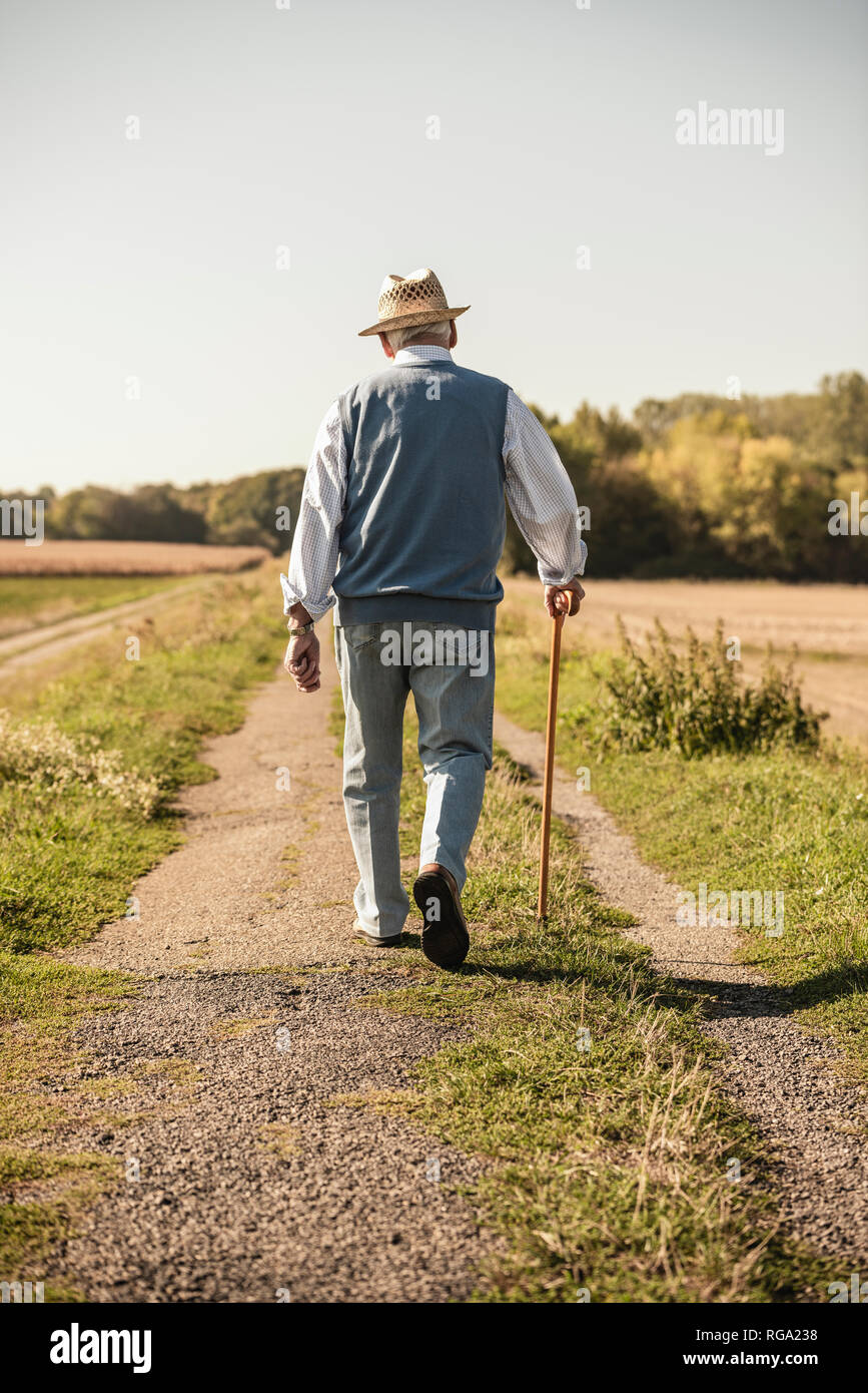 Senior man with a walking stick, walking in the fields, rear view Stock Photo