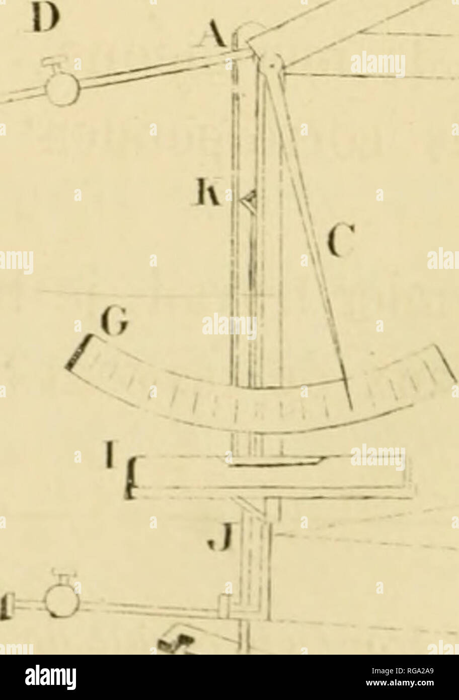fragment de betterave 8 lettres