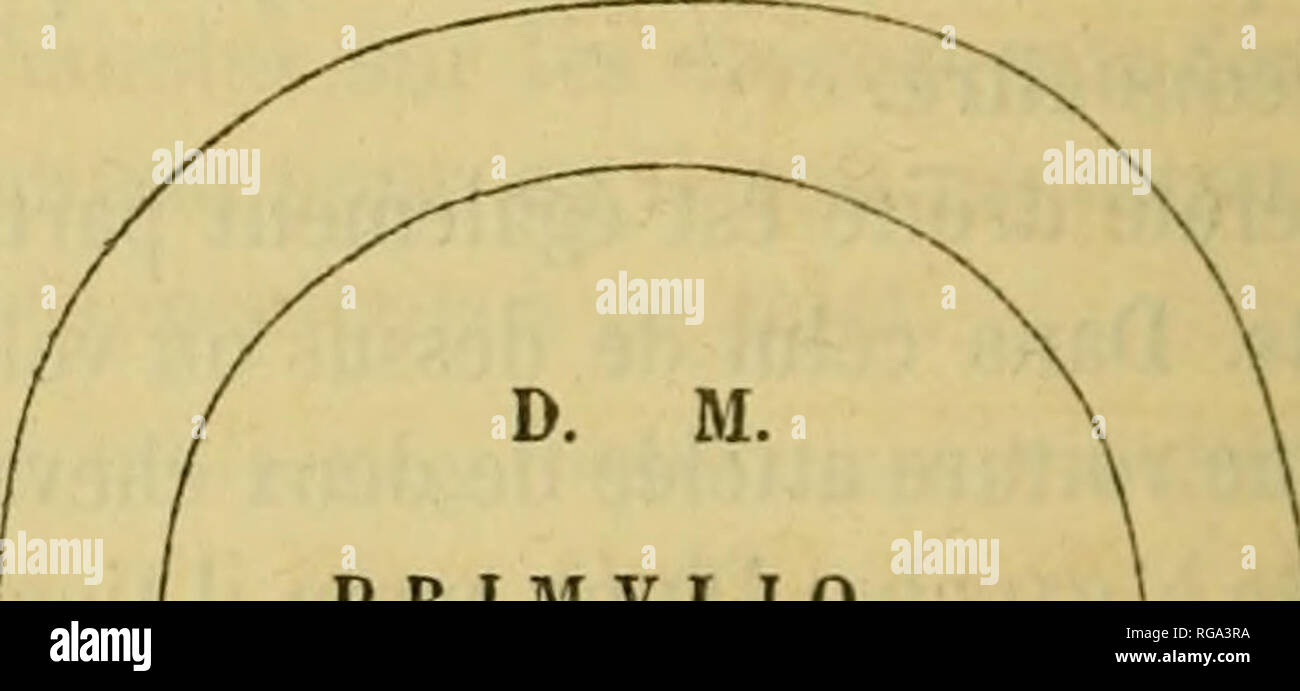 sédiment meuble en 4 lettres