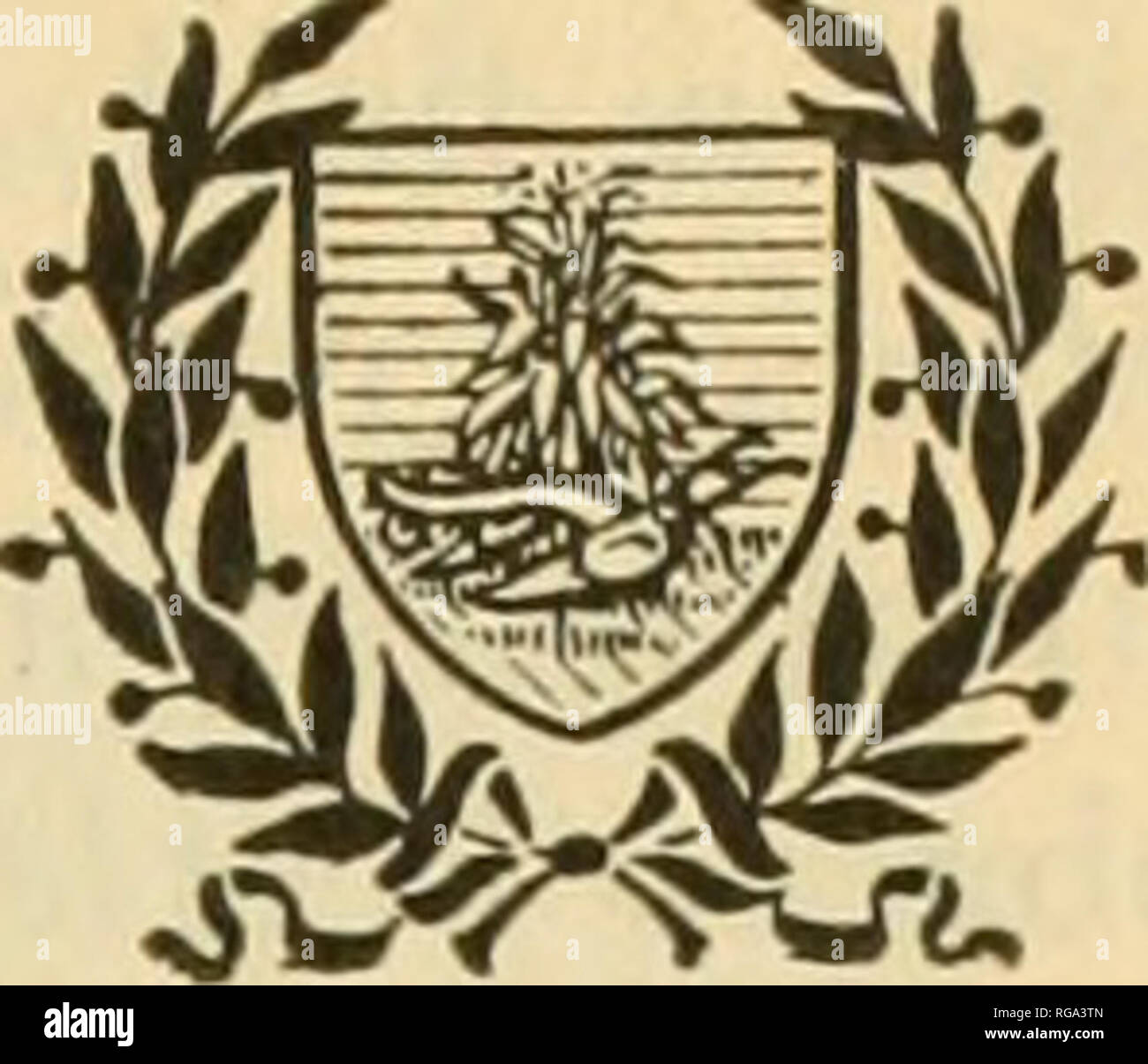 Bulletin Of The U S Department Of Agriculture Agriculture I L Bulletin No 737 Contribution From The Bureau Of Entomology L O Howard Chief Washington D C Professional Paper March 17 1919 The