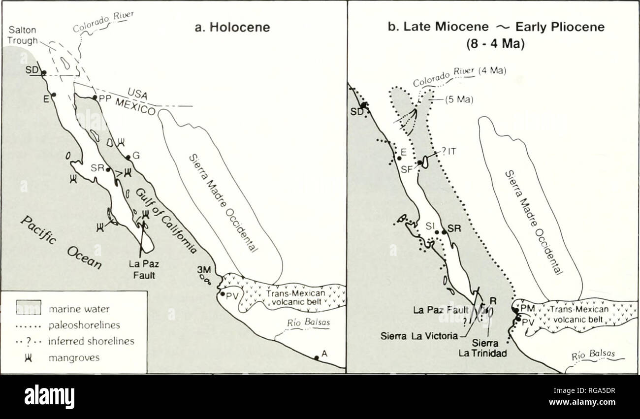 Bulletins Of American Paleontology 54 Bulletin 371 C Middle Miocene Early Late Miocene 15 8 Ma Sgp Vpm Arroyo La Trinidad Sierra La Trinidad D Early Early Middle Miocene