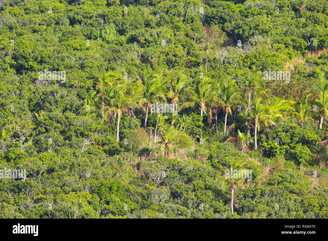 Monu Island High Resolution Stock Photography and Images - Alamy