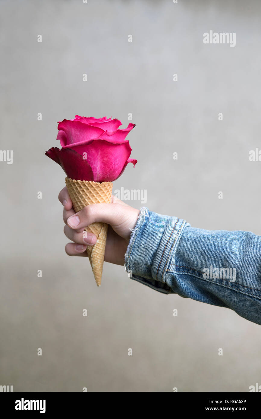 Girl's hand holding ice cream cone with pink rose blossom Stock Photo
