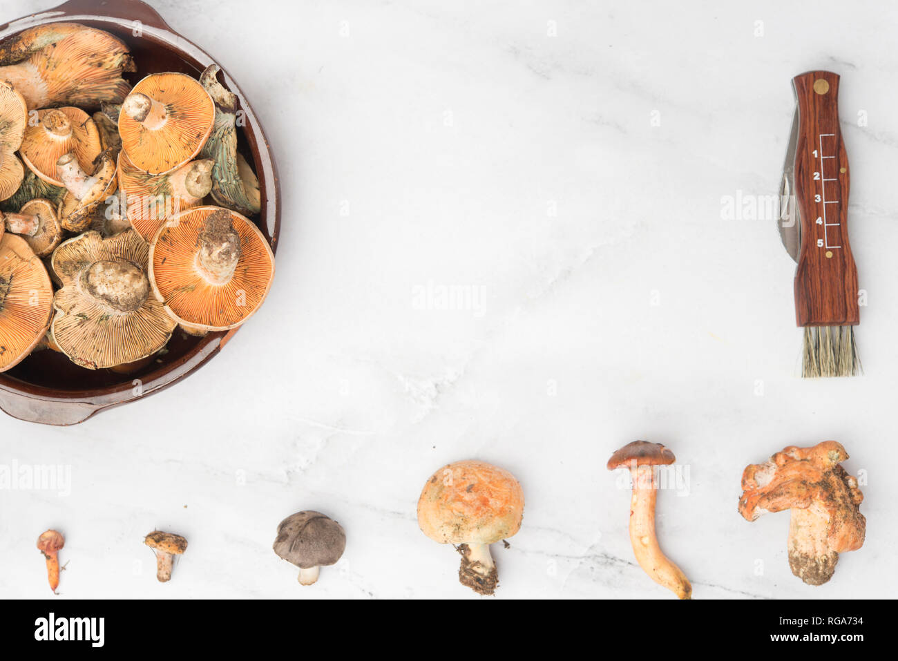 Different edible mushrooms, top view on marble Stock Photo