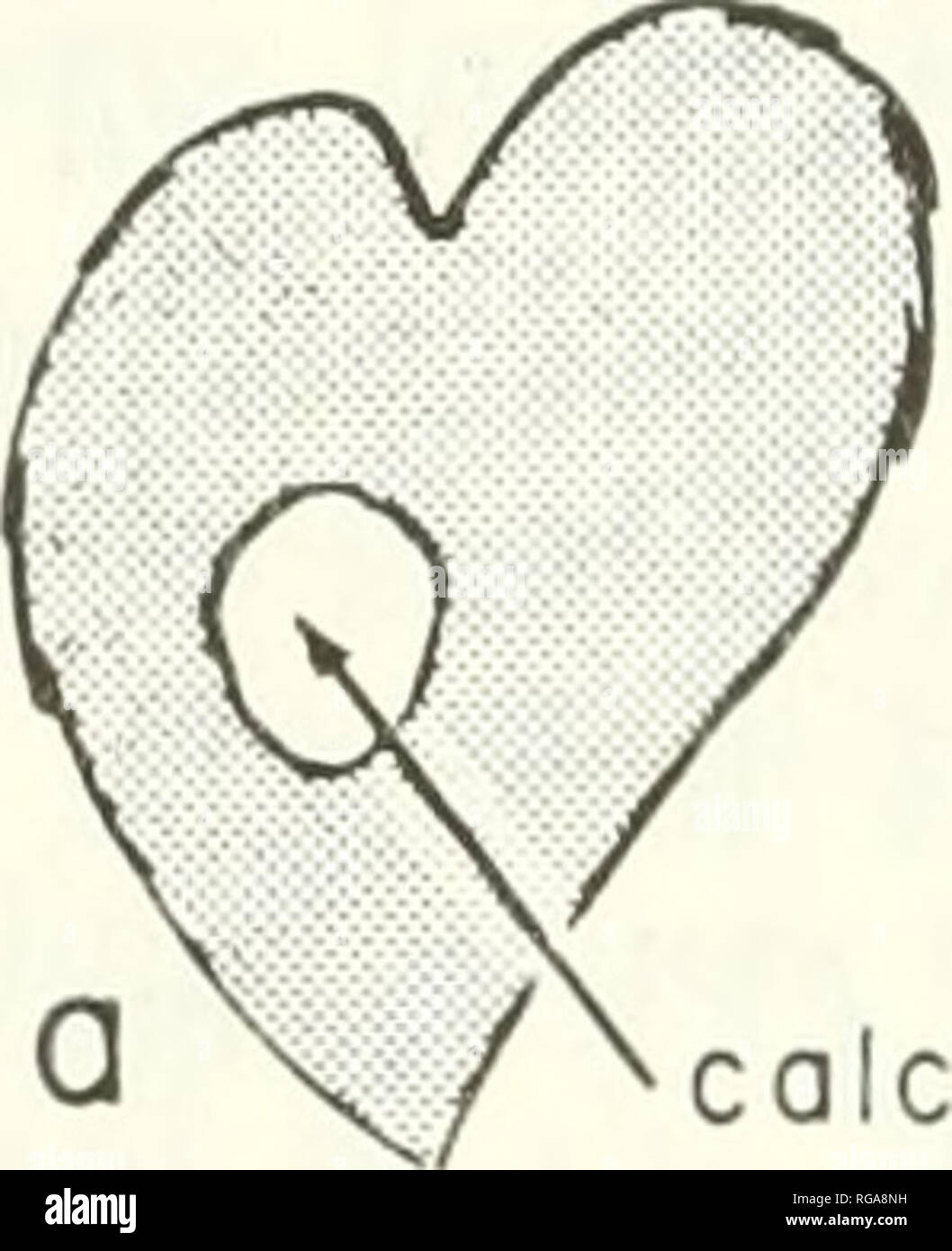 Sectional shape hi-res stock photography and images - Alamy