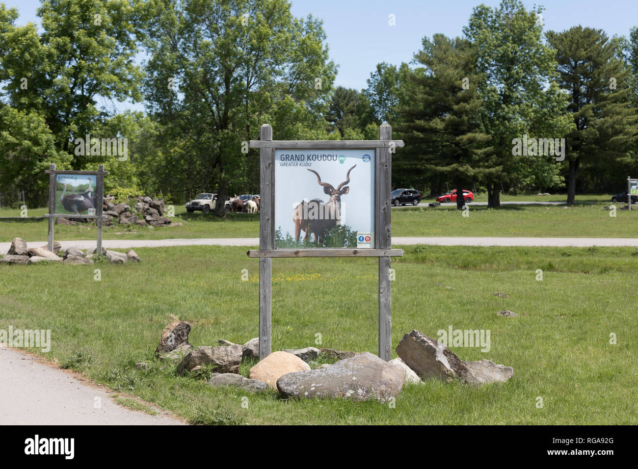 Parc Safari in Hemmingford, Quebec, Canada, June 10, 2018 Posters of