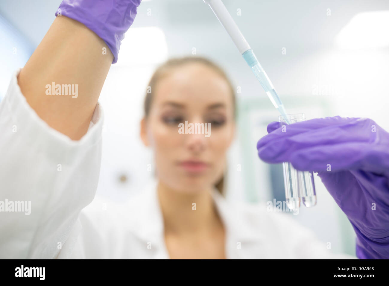 Lab technician pipetting Stock Photo Alamy