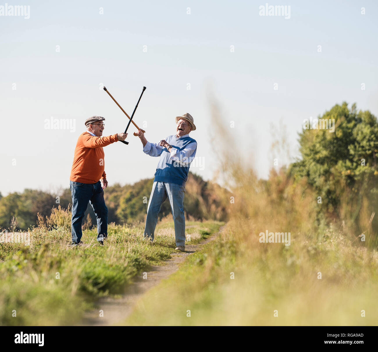 Two old friends fencing in the fields with their walking sticks Stock Photo