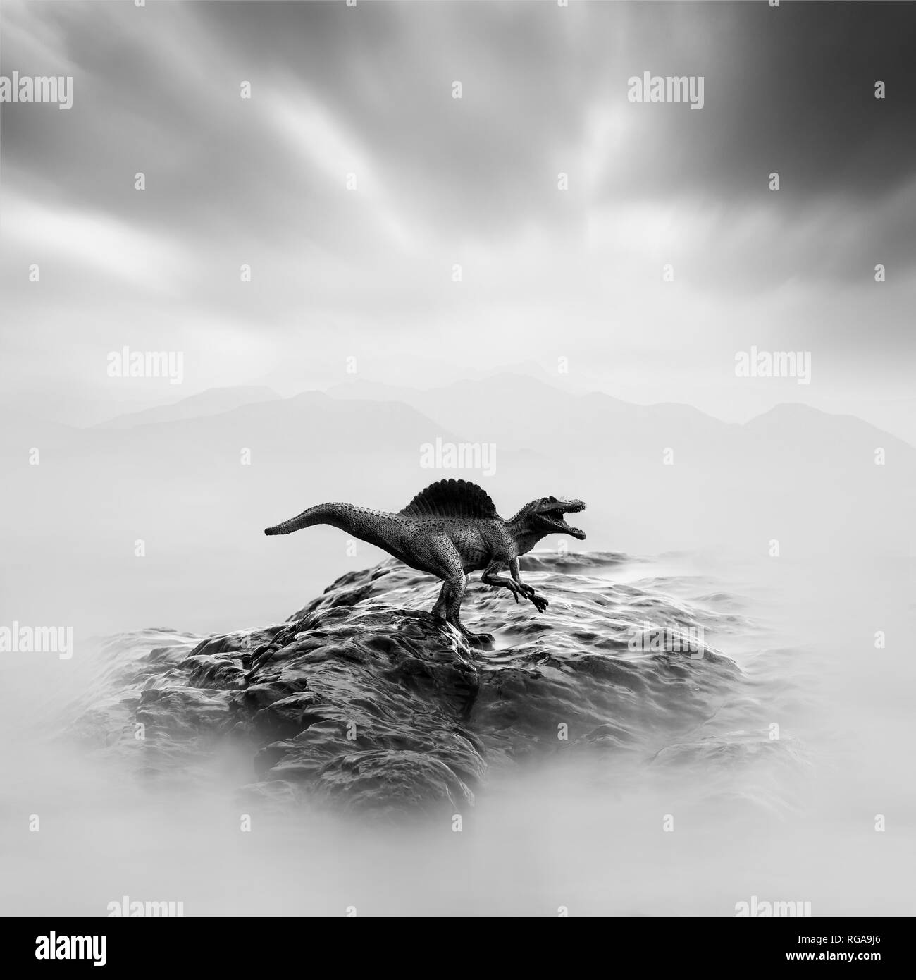 A toy dinosaur on a stone, black and white, long exposure Stock Photo