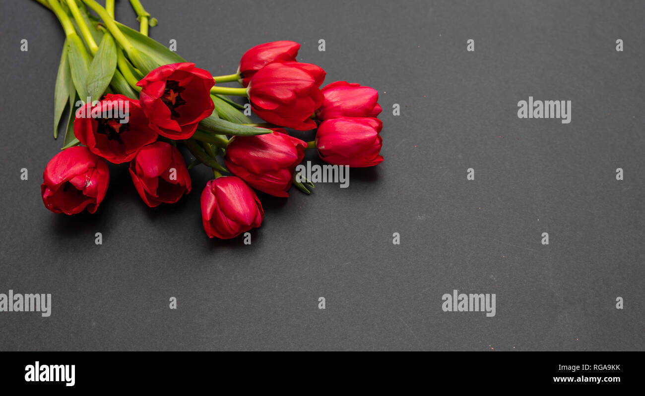 Valentines day concept. Red tulips bouquet on dark gray background, copy space Stock Photo