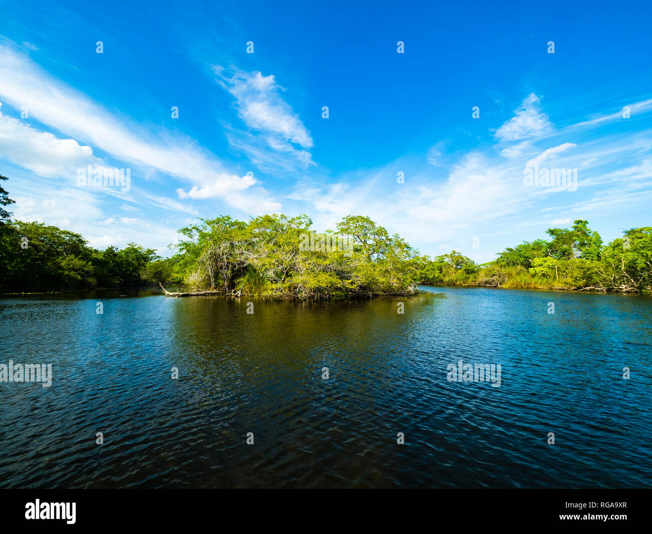 Central America, Belize, Yucatan peninsula, New River, lagoon Stock Photo