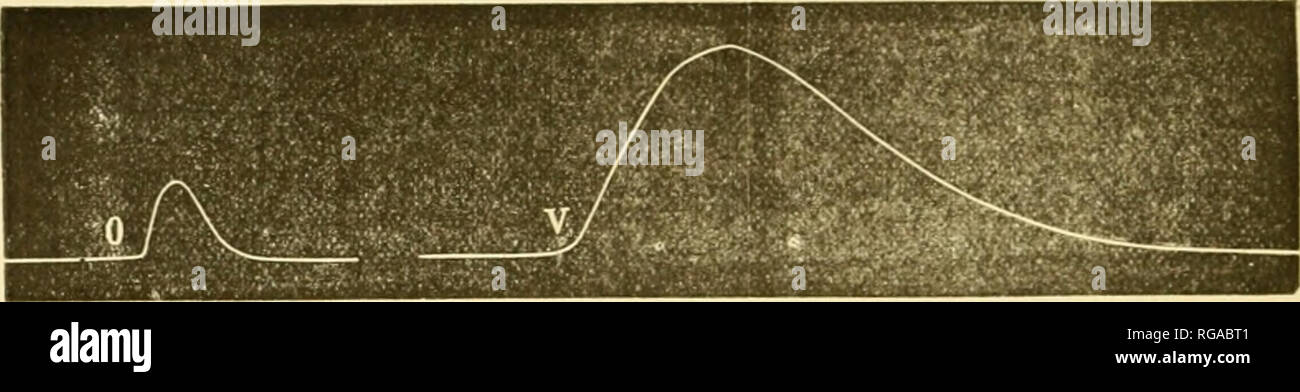 oreillette high resolution stock photography and images alamy