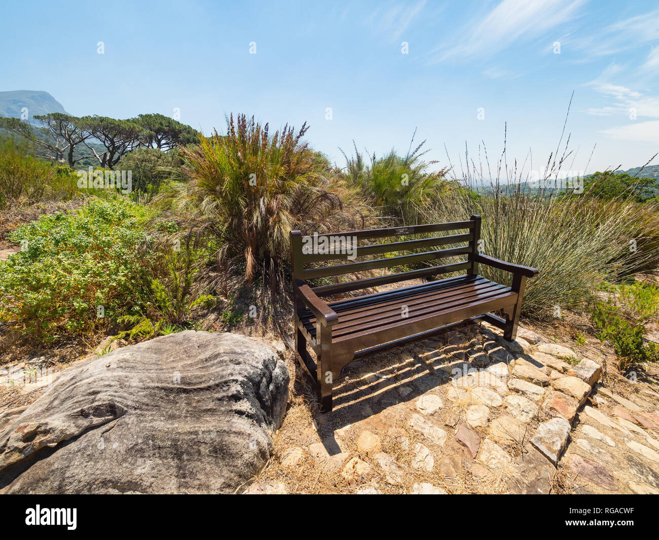 Rustic bench against the backdrop of Table mountain,. Kirstenbosch Botanical Garden, suburb of Cape Town, Western Cape, South Africa. Stock Photo