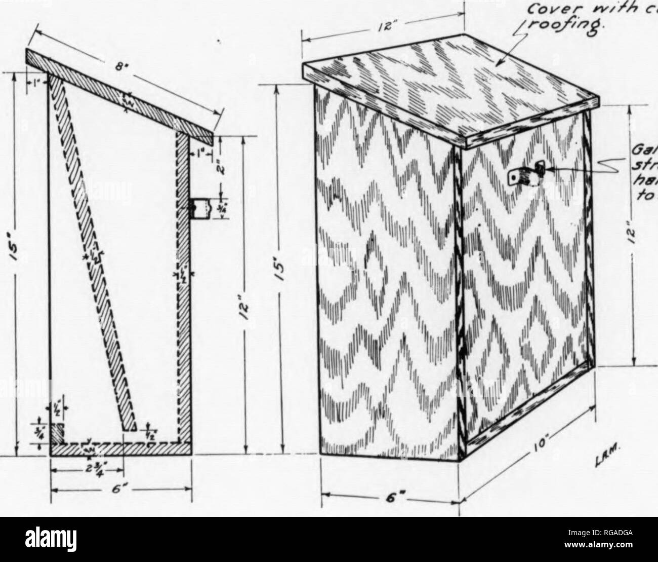 . Bulletin (Pennsylvania Game Commision), no. 11. Game protection; Birds. Cov^er s/c/ff'S /v//^ T^^- Opontn&lt;^ Fig. 16. Diagram of the Crib-Hopper Feeder. Wire Basket Feeder (Fig. 14): A very satisfactory method of feeding turkeys and other birds, as well as squirrels, is the use of a basket of one and one-half inch mesh poultry wire, made in cylindrical form, and wired or hung onto a tree. This basket, made in any convenient size, and filled with ear corn, has proved worthwhile as a feeding station, particularly in the central and southern parts of the Commonwealth where snows seldom become Stock Photo