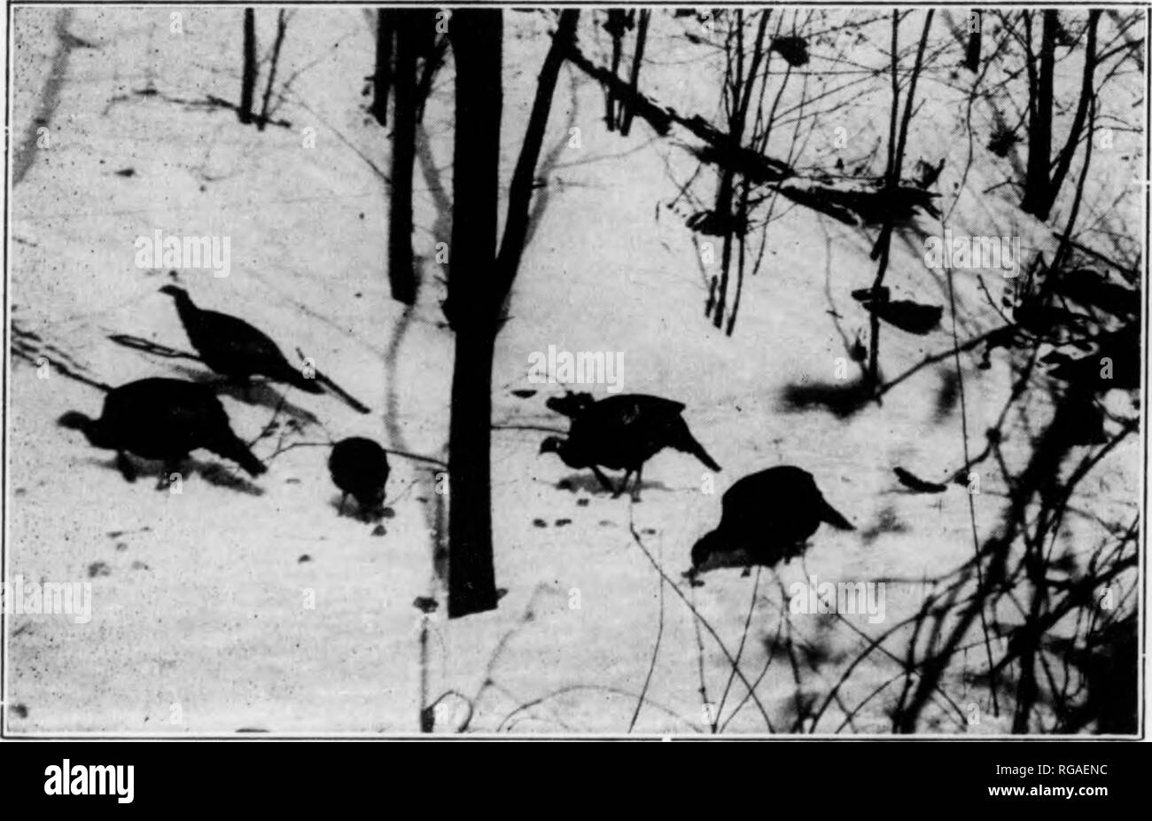 No one beyond reach Black and White Stock Photos & Images Alamy