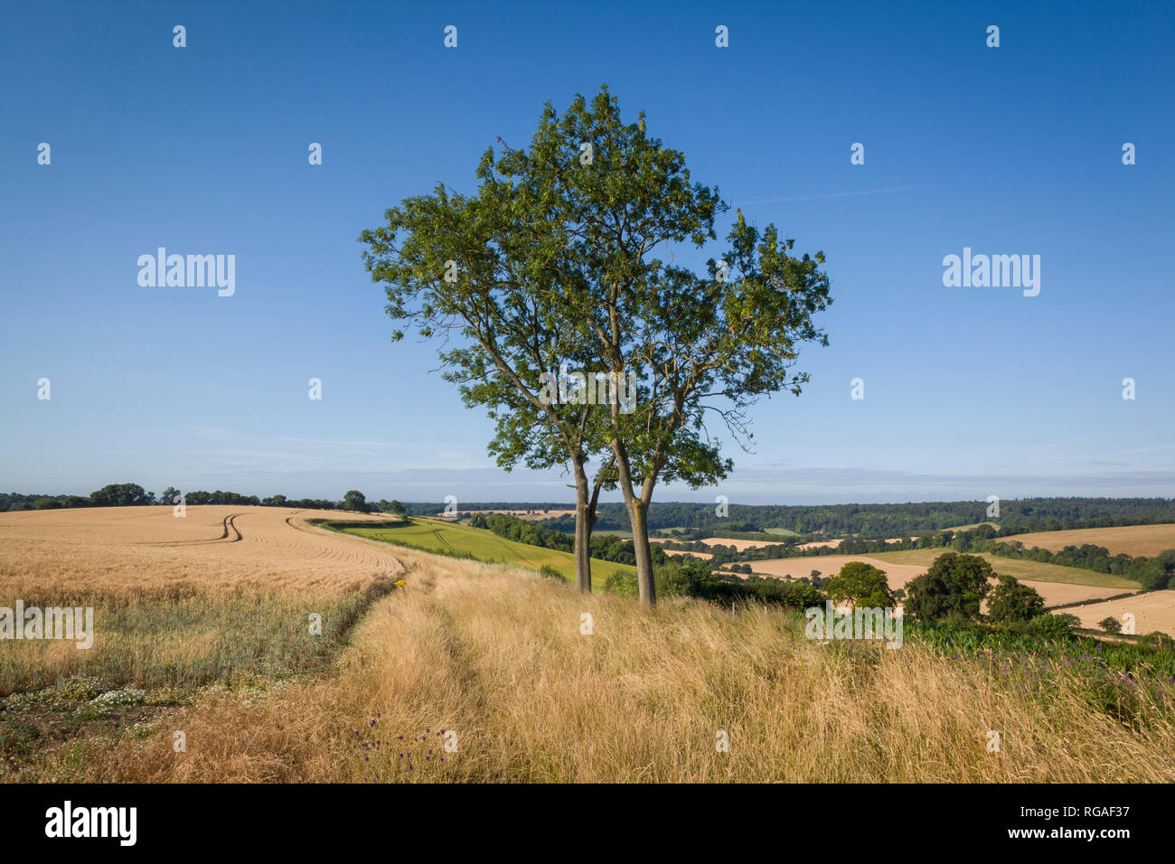 Looking South from the East Ridge of the Stonor Valley towards Henley-on-Thames, Oxfordshire Stock Photo