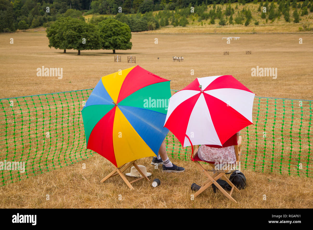 A couple enjoy the sheep dog trials under colourful umbrellas near Hambleden, Buckinghamshire, part of the Henley Show. Stock Photo