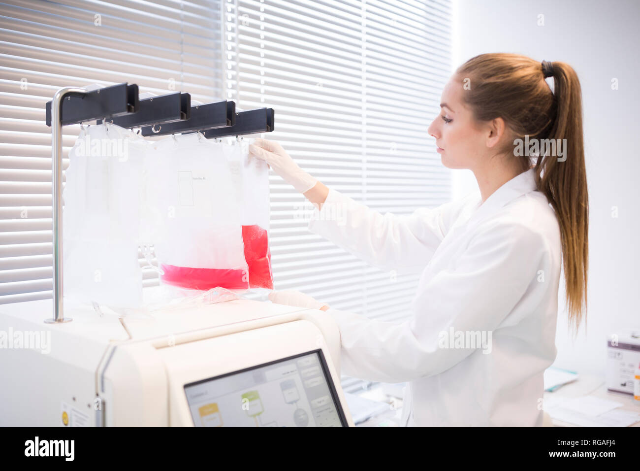 Scientist working in lab Stock Photo