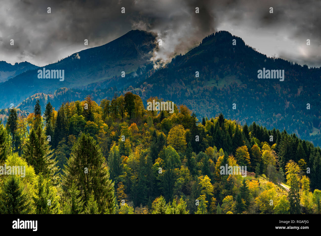 Aussichtspunkt Hofmannsruh bei Oberstdorf, dahinter das Soellereck, 1706m, Allgaeuer Alpen, Oberallgaeu, Bayern, Deutschland, Europa Stock Photo