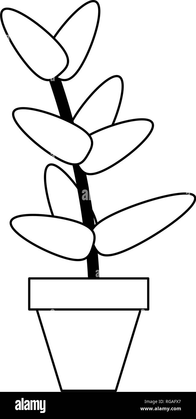 plant pot isolated in black and white Stock Vector