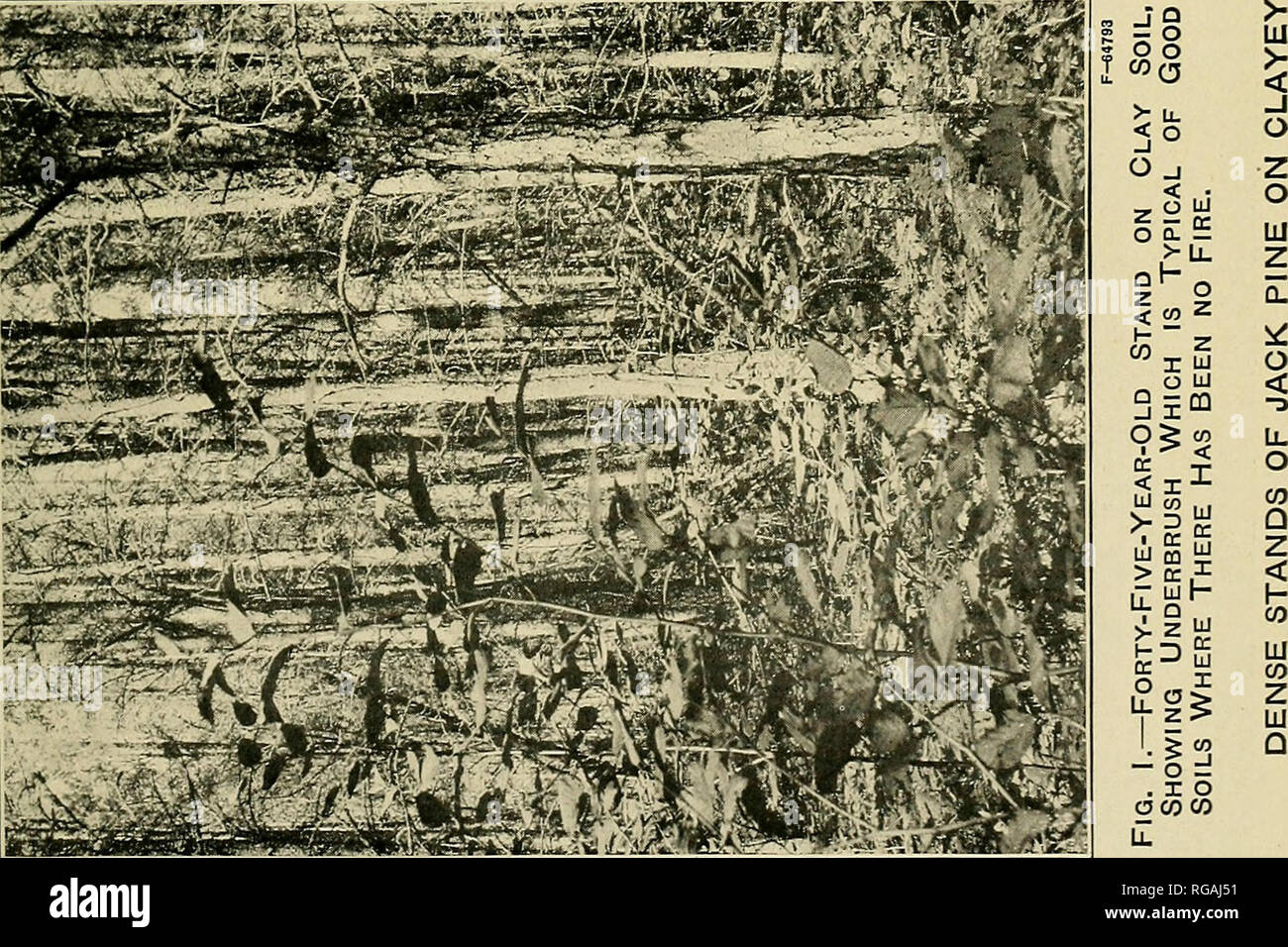 Page 13 T T O Z ª T High Resolution Stock Photography And Images Alamy