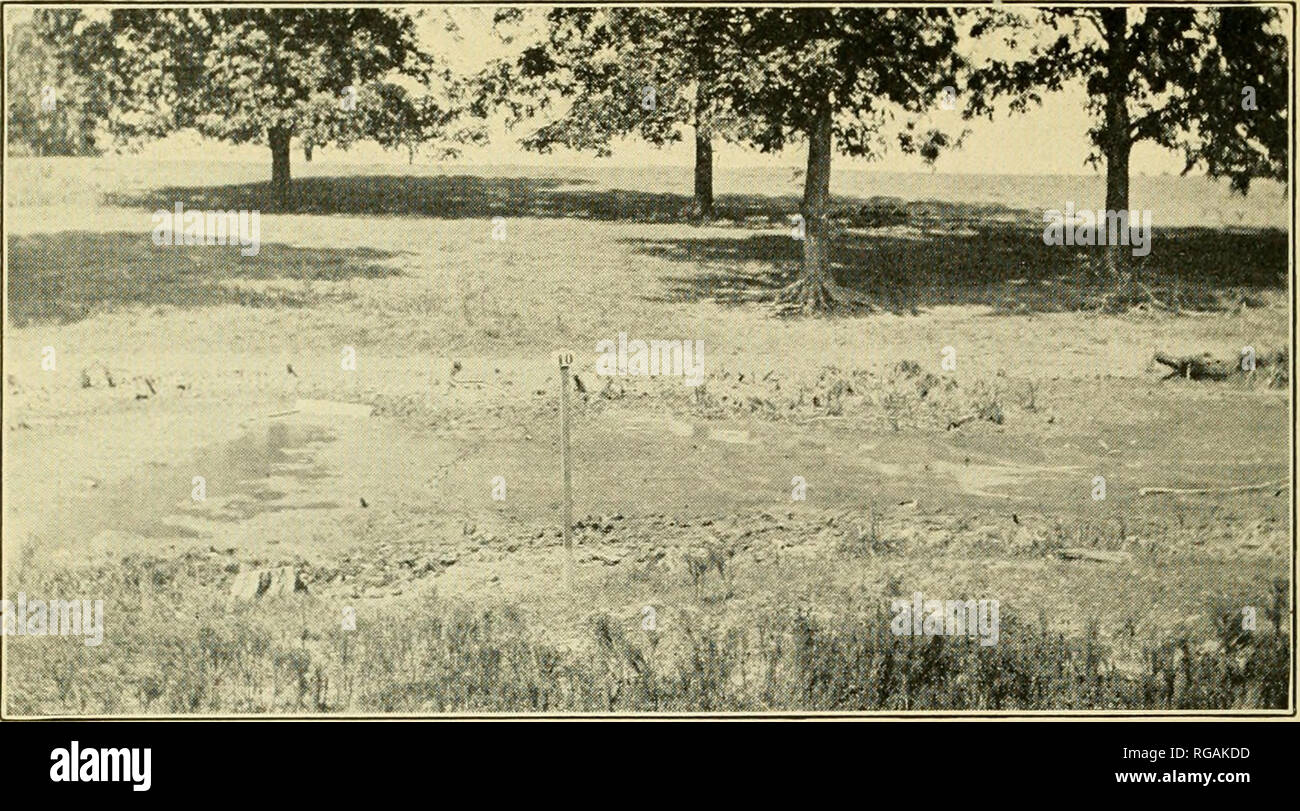 . Bulletin of the U.S. Department of Agriculture. Agriculture. Dui. luyo, u. 3. uepi;. oy Agncuuure.. Fig. 1.—View across Bayou AValnut, after (Icariiii;, l,Ono yaids above site of dam.. Please note that these images are extracted from scanned page images that may have been digitally enhanced for readability - coloration and appearance of these illustrations may not perfectly resemble the original work.. United States. Dept. of Agriculture. [Washington, D. C. ?] : The Department : Supt. of Docs. , Govt. Print. Off. Stock Photo
