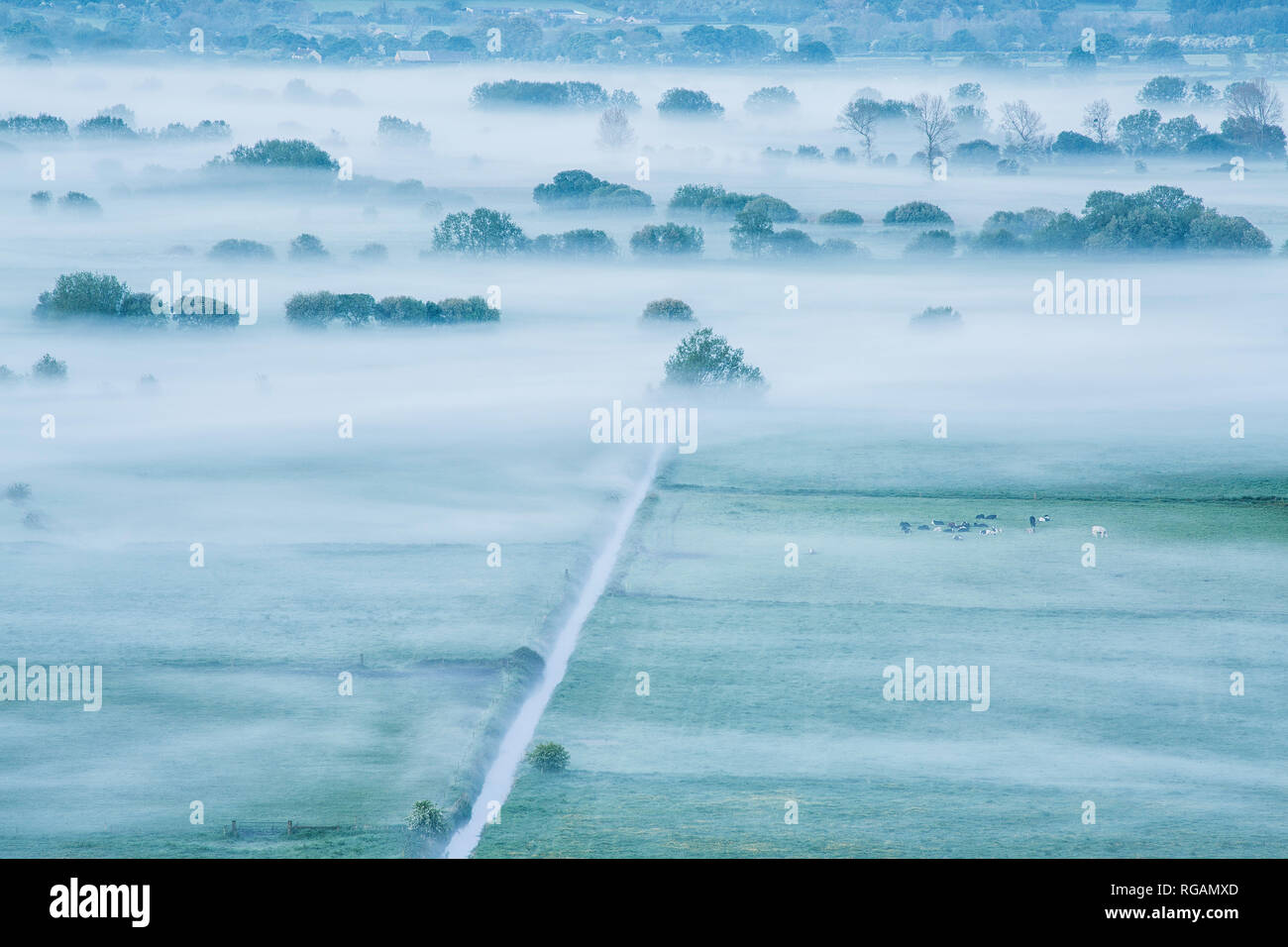 Misty morning on the somerset levels, Somerset, England Stock Photo