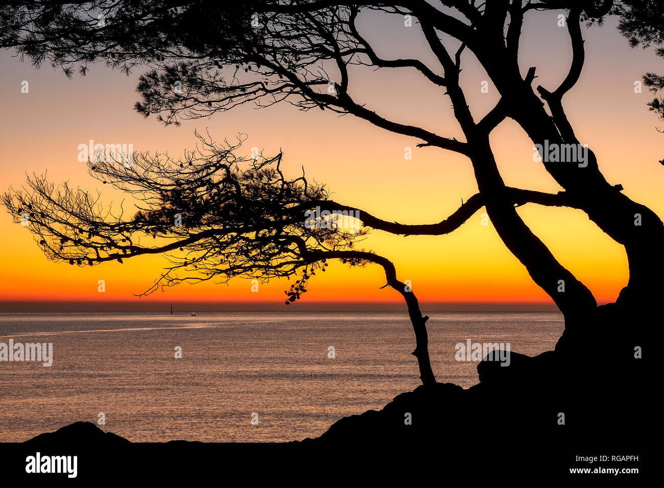 Beautiful sunrise color over the coastal in a Spanish Costa Brava with pine tree silhouette Stock Photo