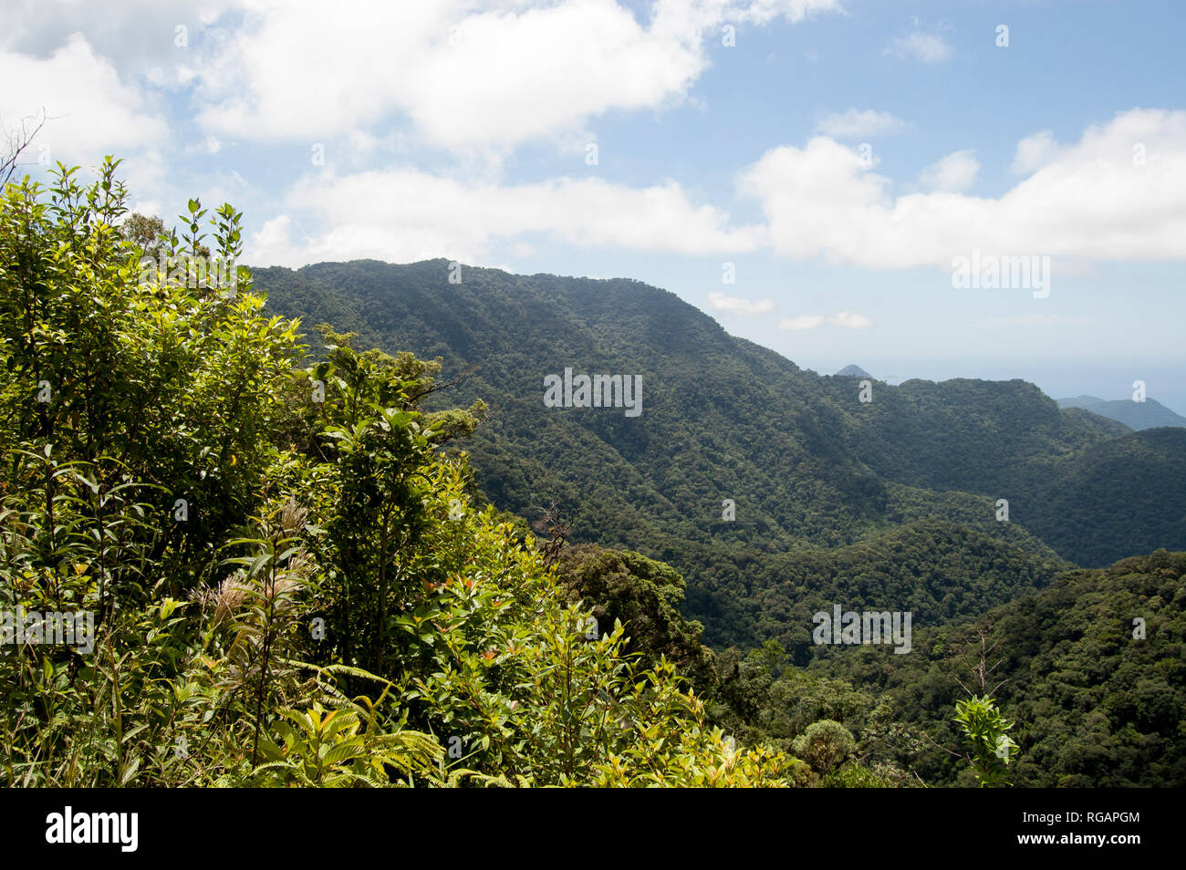 View of the Atlantic Ocean from above at the Sea Saw State Park in Sao Paulo, Brazil, Ubatuba Stock Photo