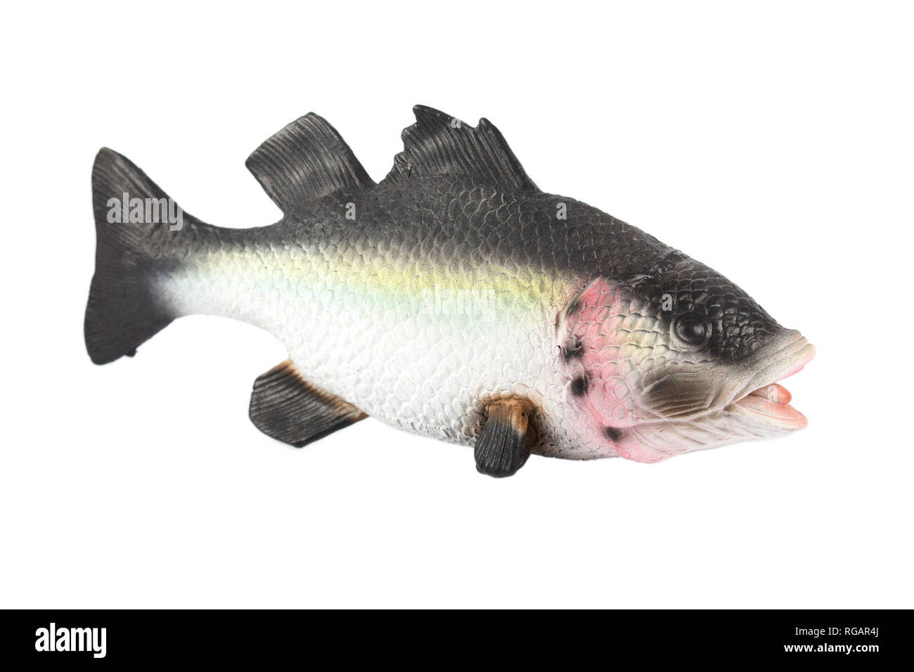 Fake rubber fish hi-res stock photography and images - Alamy