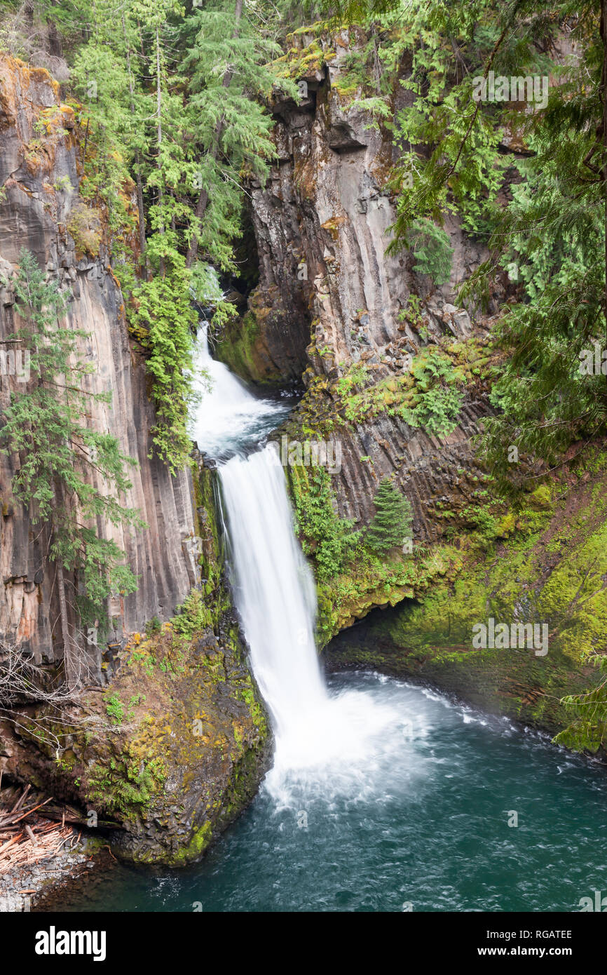 Trees columnar basalt hi-res stock photography and images - Alamy