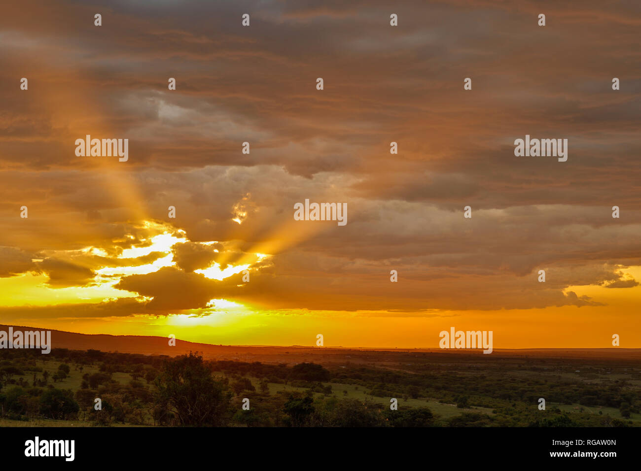 Masai Mara Landscape High Resolution Stock Photography and Images - Alamy
