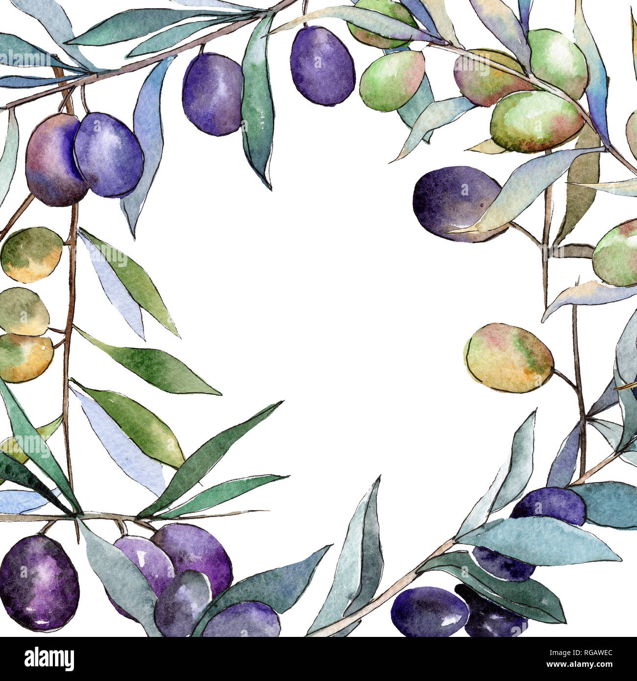 Green and black olives. Watercolor background illustration set. Frame ...