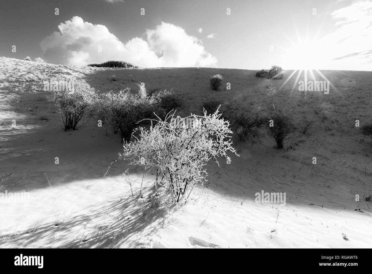 Subasio mountain (Umbria, Italy) in winter, covered by snow, with plants and sun Stock Photo