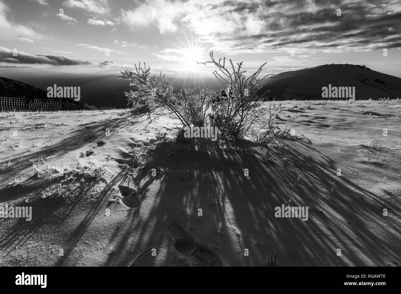 Subasio mountain (Umbria, Italy) in winter, covered by snow, with plants and sun Stock Photo