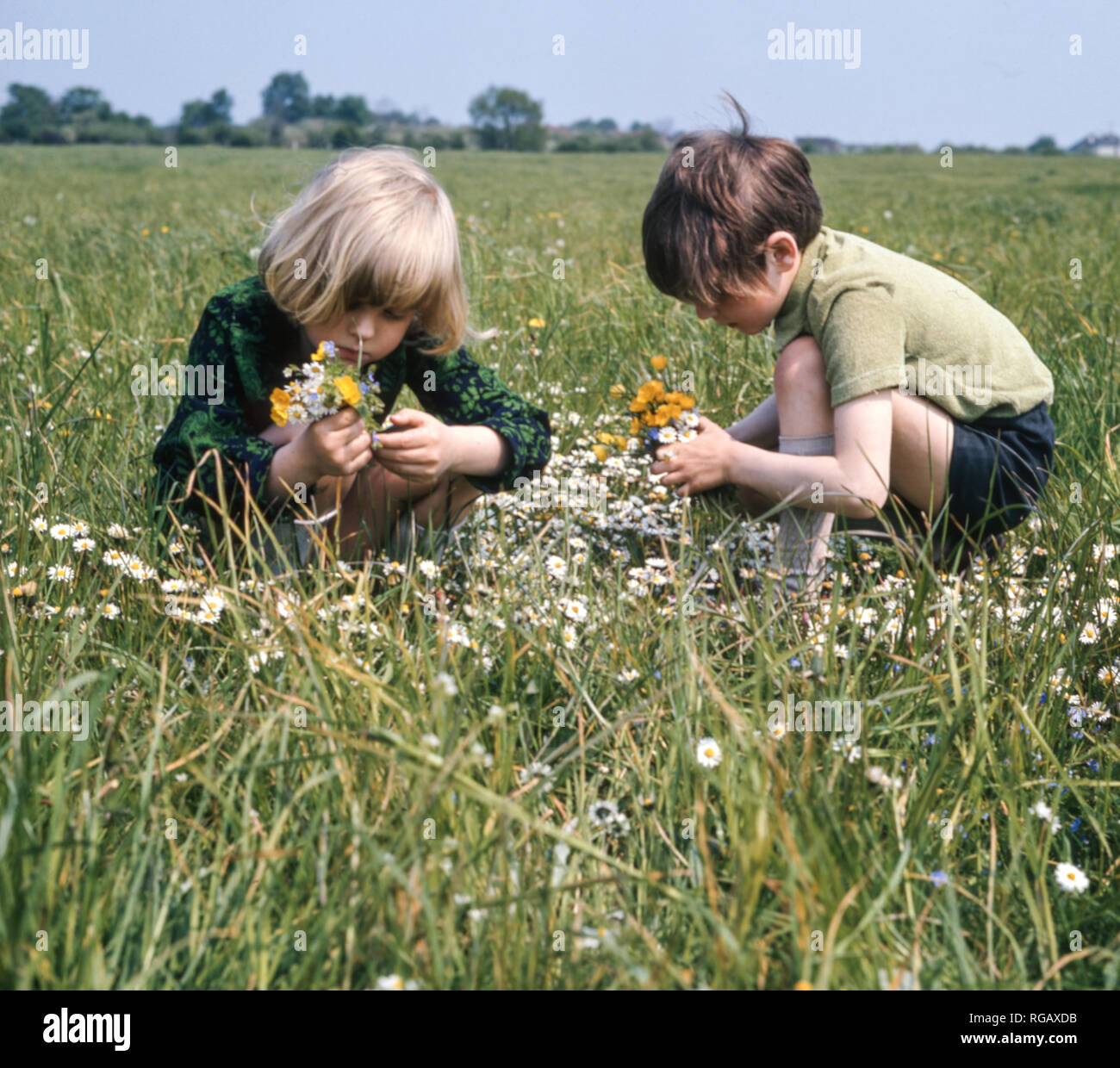 Children make a daisy chain hi-res stock photography and images - Alamy