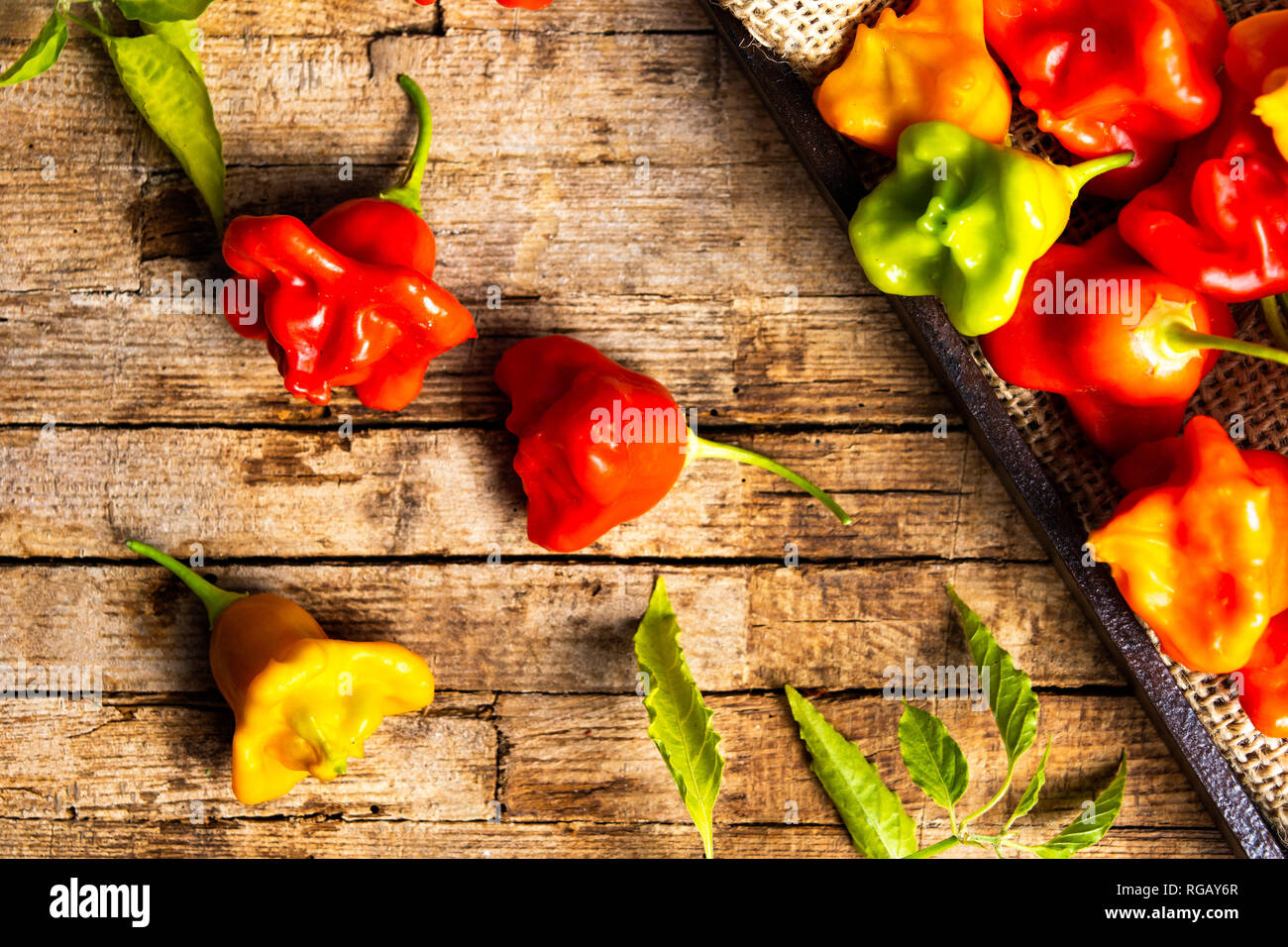 Bell shaped peppers hi-res stock photography and images - Alamy