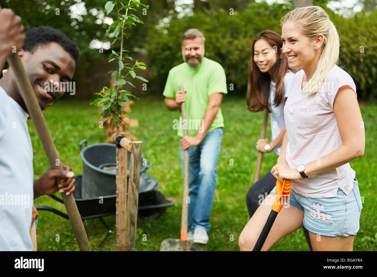 Team volunteer plants a tree together in the park during a climate protection campaign Stock Photo