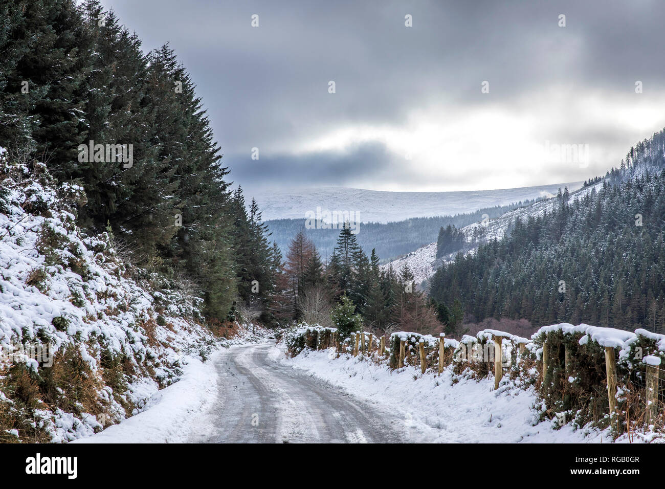 Winter,snow, near Glendalough,Wicklow National Park,Ireland,st,Kevin,Round Tower,Lower Lake Stock Photo