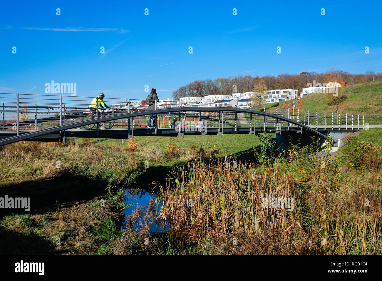 Dortmund, North Rhine-Westphalia, Ruhr area, Germany - Renatured Emscher at Lake Phoenix, Lake Phoenix is an artificially created lake on the former s Stock Photo