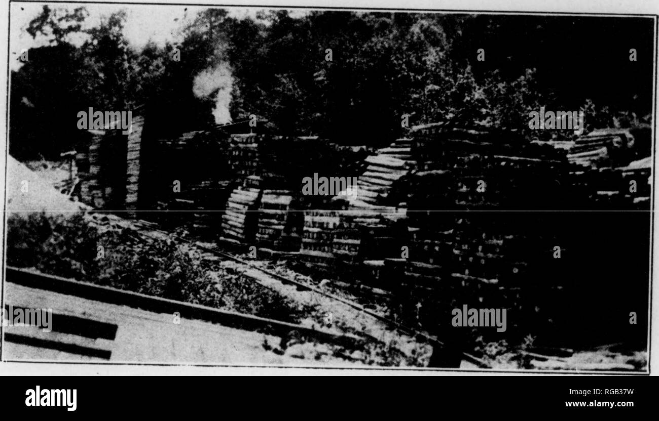 . Bulletin (Pennsylvania Department of Forests and Waters), no. 40-45. Forests and forestry. Ill 11' I*' h A TliniFTY 1'I.AXT.TI0S I'llOTECIED FKOM riltE S'V^'^r'^f'*'&quot;'&quot;''&quot; ''â '&quot; â '&quot;&quot;&quot;' '&quot;^â¢ Â«1'P&quot;'&quot;'^'' '&quot;^'^I forest fire war- dens by the State and have thus had the proper authoritv conferred up- transle'ntr,&quot;o?'&quot; '^ T'^'r&quot;' *&quot; &quot;&quot;&quot; '^^^'&quot;&quot;â¢&quot;'â¢- '&gt;&quot;&quot;*Â«- -'' &quot;ther lean on roLl 'Tf , &quot;'*&quot; ^''' '^&quot;' &quot;&quot; &quot;'''^* Â«- -Â«--*-' PO'^te'^- clean  Stock Photo